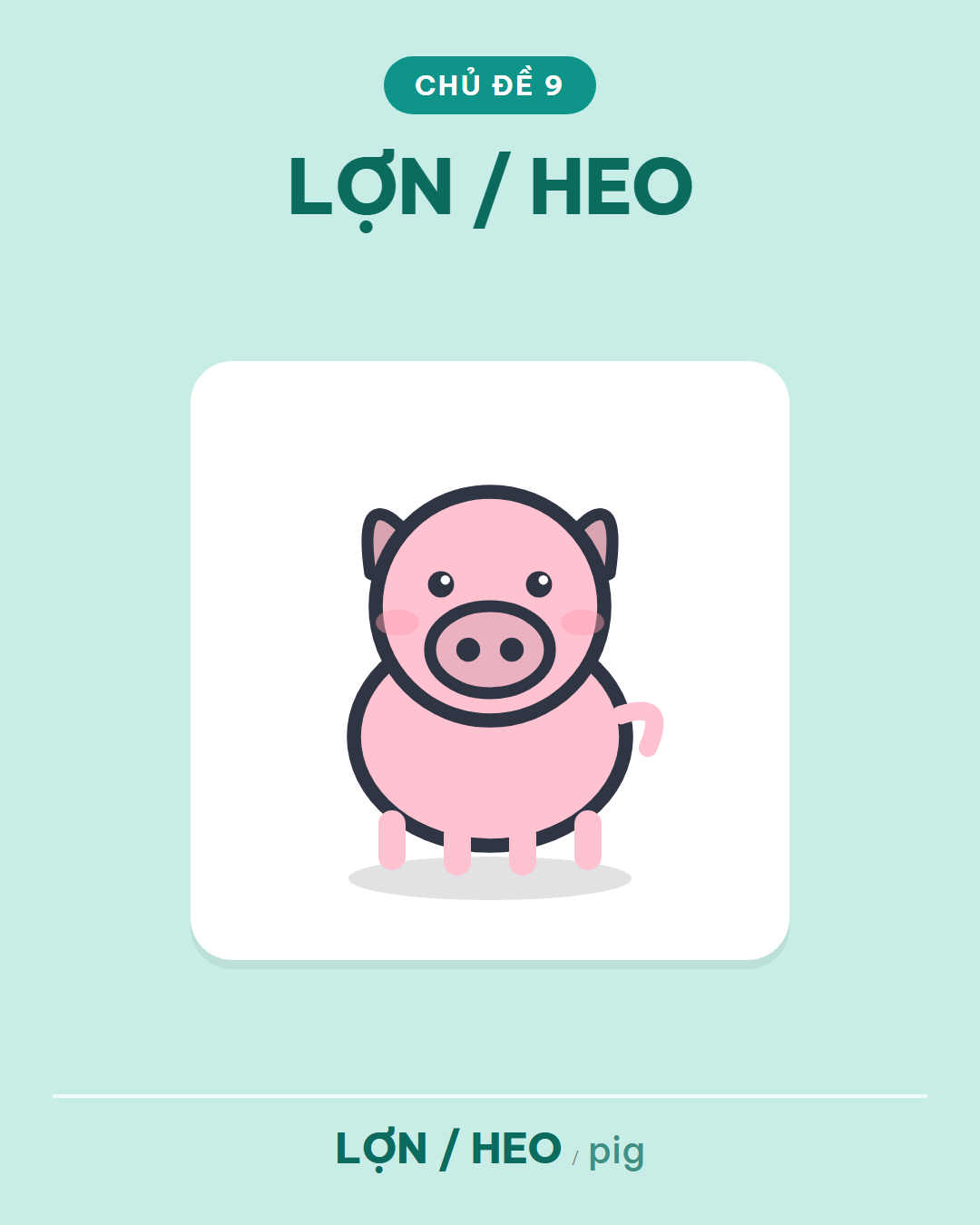 LỢN / HEO